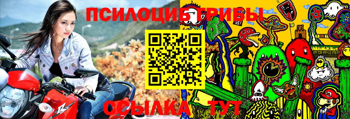 Галлюциногенные грибы Psilocybe  Вход с VPN  Краснознаменск  Галлюциногенные грибы мицелий 