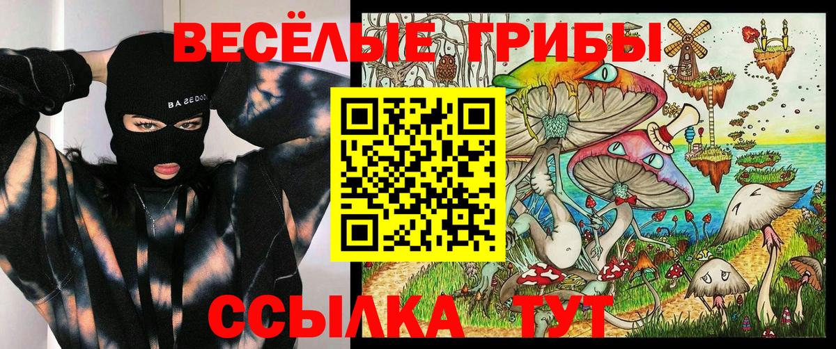 Псилоцибиновые грибы ЛСД Краснознаменск