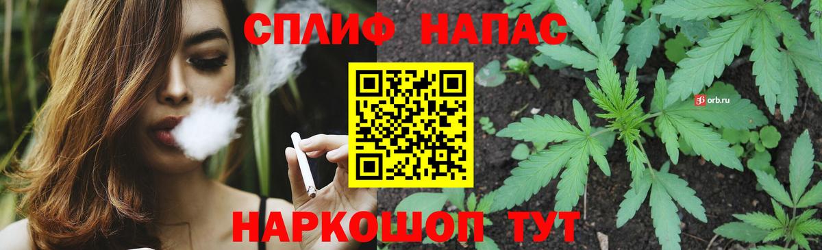Каннабис семена Краснознаменск